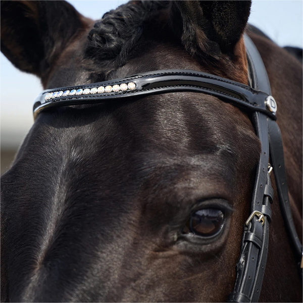 2026 Dublin Padded Mono Crown Patent Flash Bridle 1031501 - Black
